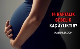 14 haftalık gebelik kaç aylık oluyor? Hamilelikte doğru bilinen yanlışlar!