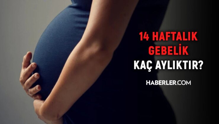 14 haftalık gebelik kaç aylık oluyor? Hamilelikte doğru bilinen yanlışlar!