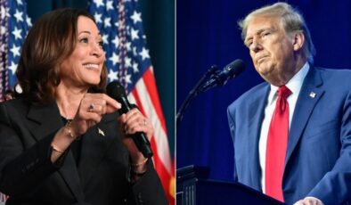 ABD'de yeni anket: Harris, seçimi belirleyecek "salıncak eyaletler"de Trump'ı geride bıraktı | Dış Haberler