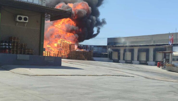 Bornova’da Palet Fabrikasında Yangın: İş Yerleri ve Araçlar Zarar Gördü