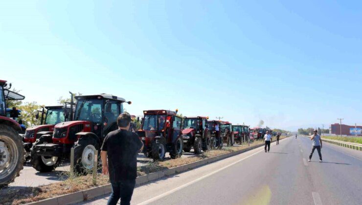 Bursa Valisi, Tarım Kredi Kooperatifi ile salçalık domates alımı yapacak