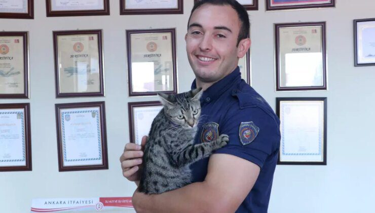 Deprem enkazından kurtarılan kedi sahibini bulamayınca itfaiyecinin yanına yerleşti