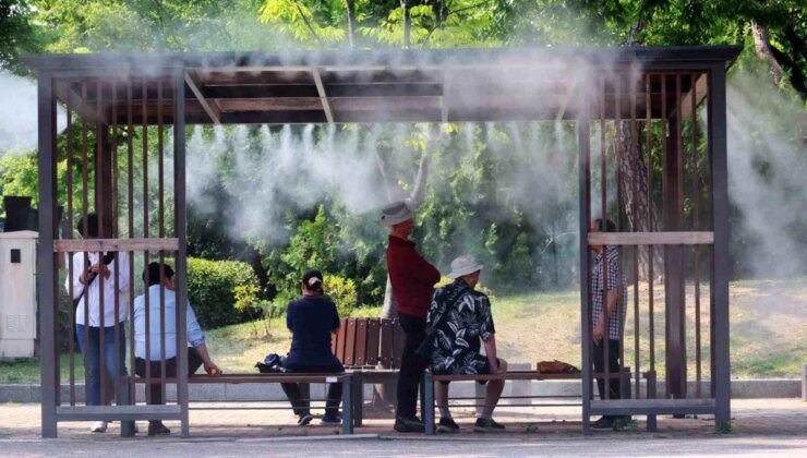 Güney Kore’de Aşırı Sıcaklar Nedeniyle Ölü Sayısı 28’e Yükseldi