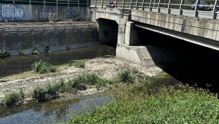 Hem vatandaş hem de esnaf isyanda! Alibeyköy Deresi yüzünden kokudan durulmuyor