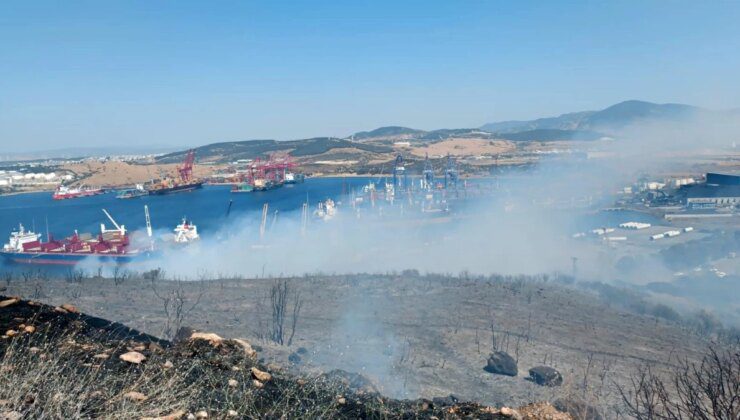 İzmir Aliağa’da Ormanlık Alanda Yangın Çıktı