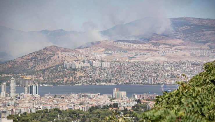 İzmir’deki Orman Yangınında Barınaklardaki Hayvanlar Tahliye Edildi