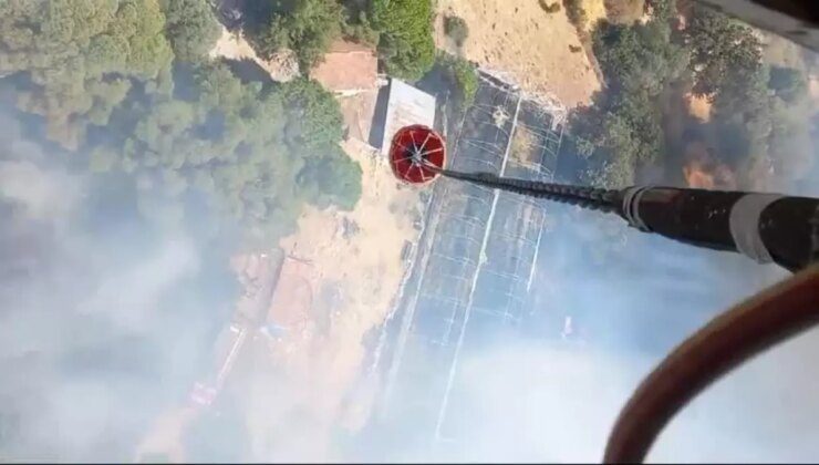 İzmir’in Bergama ilçesinde fıstık çamlıklarında yangın çıktı