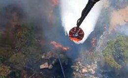 İzmir’in Bergama ilçesinde orman yangını çıktı