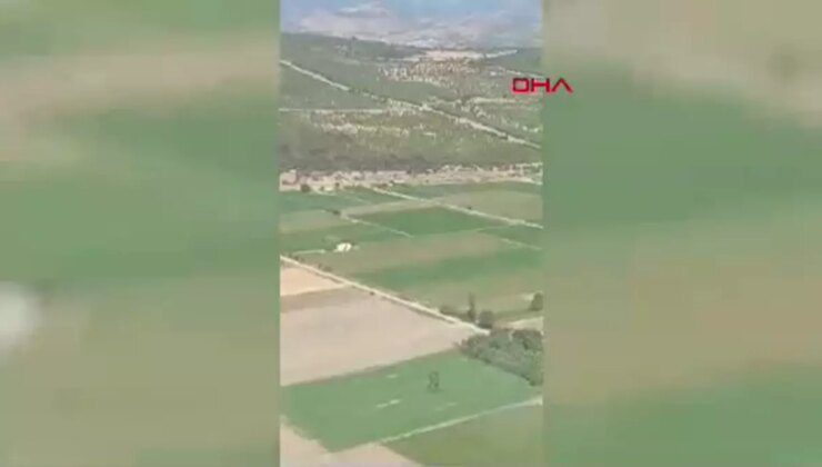 İzmir’in Bergama ilçesindeki orman yangını 2 saatte kontrol altına alındı