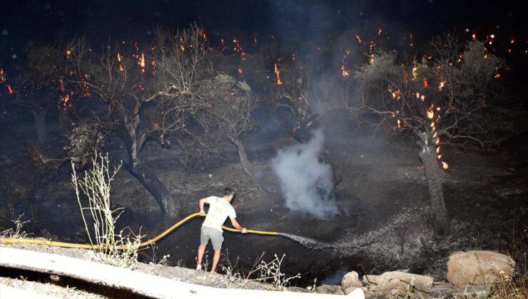 İzmir’in Kemalpaşa ilçesinde zeytinlik alanda yangın çıktı