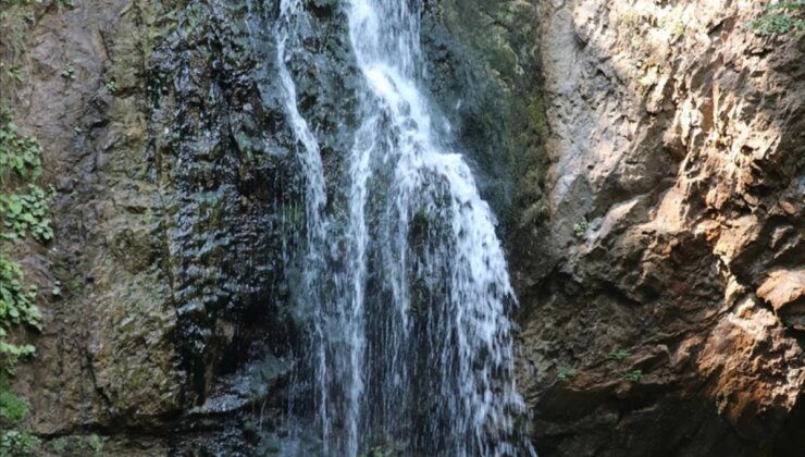 Karabük’teki Baklabostan Tabiat Parkı Tatilcilerin İlgi Odağı