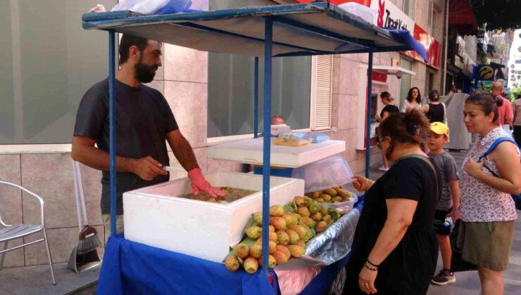 Mersin’de Şifa Kaynağı Dikenli İncir Satışa Sunuldu