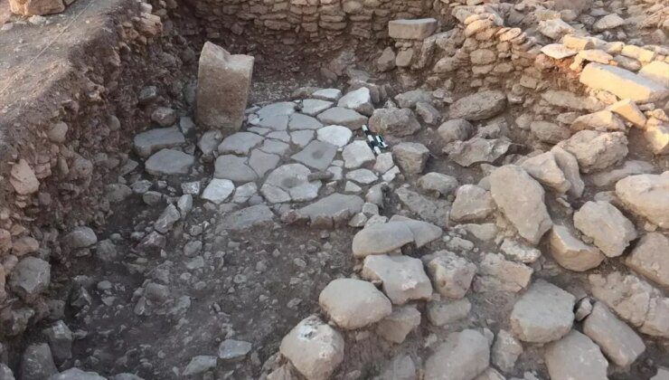 Şanlıurfa Karahantepe’de Yaban Eşeği Figürü Bulundu