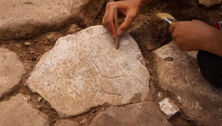 Şanlıurfa’da Neolitik Çağ’dan Yaban Eşeği Figürü Bulundu