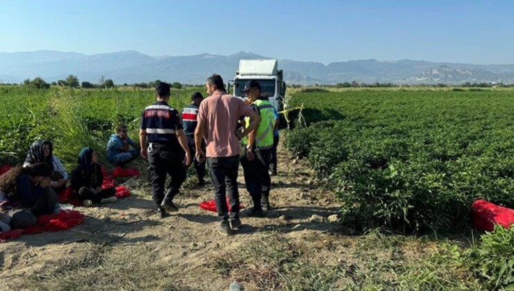 Tarlada uyuyakalan küçük kız kamyonun altında can verdi, yakınları şoförü vurarak öldürdü