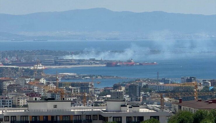 Tuzla’da ağaçlık alanda çıkan yangına itfaiye müdahale ediyor