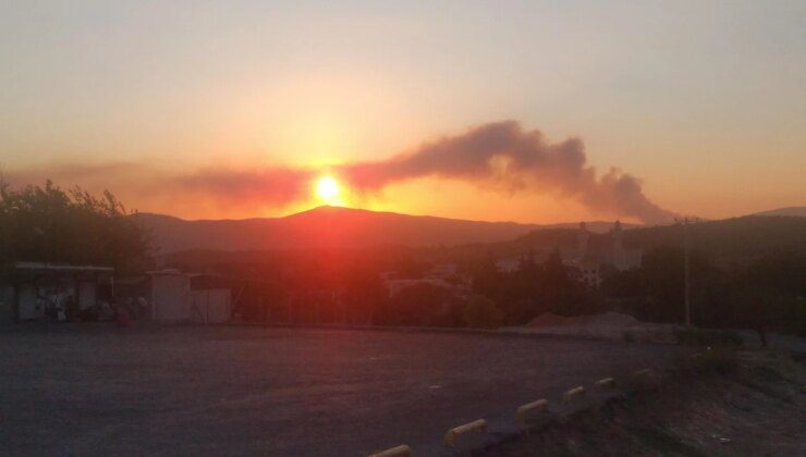 Urla’da Makilik ve Kırsal Alanda Yangın Çıktı