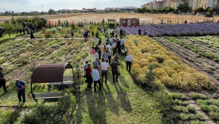 Van YYÜ’de 5. Tıbbi ve Aromatik Bitkiler Hasat Bayramı düzenlendi