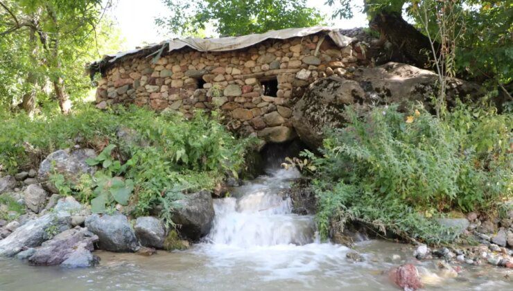 155 Yıllık Su Değirmeni, Nesilden Nesile Devam Ediyor