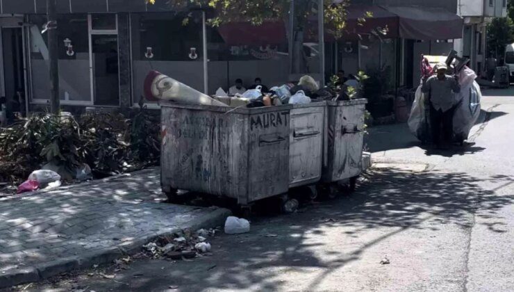 Avcılar’da Çöp Konteynerinde Yeni Doğmuş Bebek Bulundu