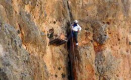 Beden Eğitimi Öğretmeni Tehlikeli Tırmanışlarla Kaya Balı Topluyor