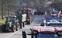 Birçok ülke, iklim protestolarını bastırmak için sert tedbirlere başvuruyor | Dış Haberler