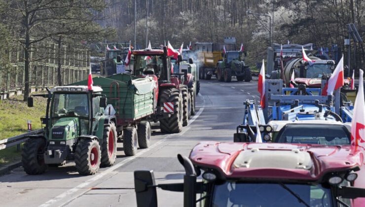 Birçok ülke, iklim protestolarını bastırmak için sert tedbirlere başvuruyor | Dış Haberler