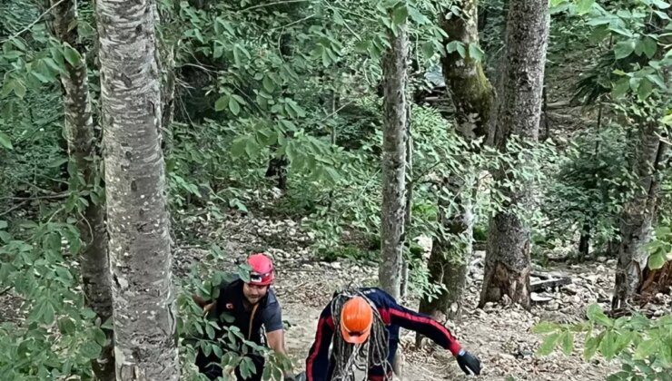 Bolu’da Uçuruma Yuvarlanan Otomobilde Sürücü Hayatını Kaybetti