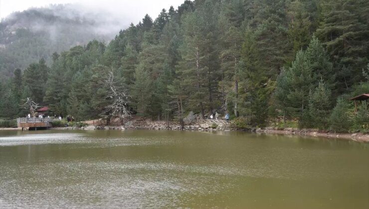 Gümüşhane’deki Limni Gölü Tabiat Parkı, Turistleri Ağırlamaya Devam Ediyor