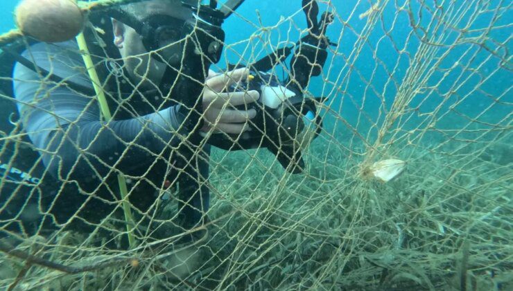 Hayalet Ağ Avcıları Projesi ile Deniz Ekosistemi Korunuyor