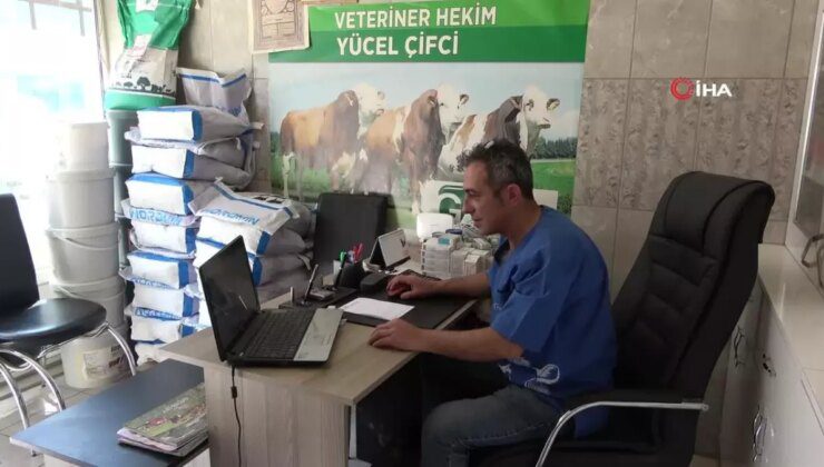 Hayvan sevgisi için hemşireliği bırakıp veteriner hekim oldu