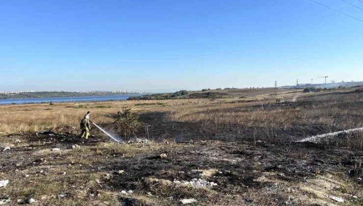 İstanbul Avcılar’da Otluk Arazide Yangın: İtfaiye Müdahale Etti