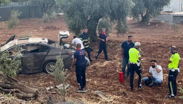 Kilis’te Kontrolden Çıkan Otomobil Zeytin Ağaçlarını Biçti