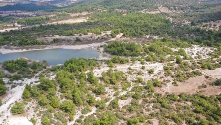 Osmancalı Fosil Ormanı Tabiat Anıtı Olarak Tescillendi