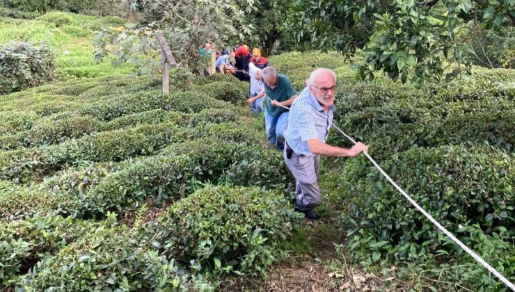 Rize’de Teleferikten Düşen Çay Müstahsili Yaralandı