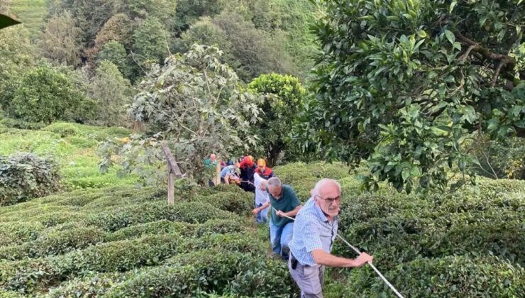 Teleferik Kazasında Yaralanan Kadın Hastaneye Kaldırıldı