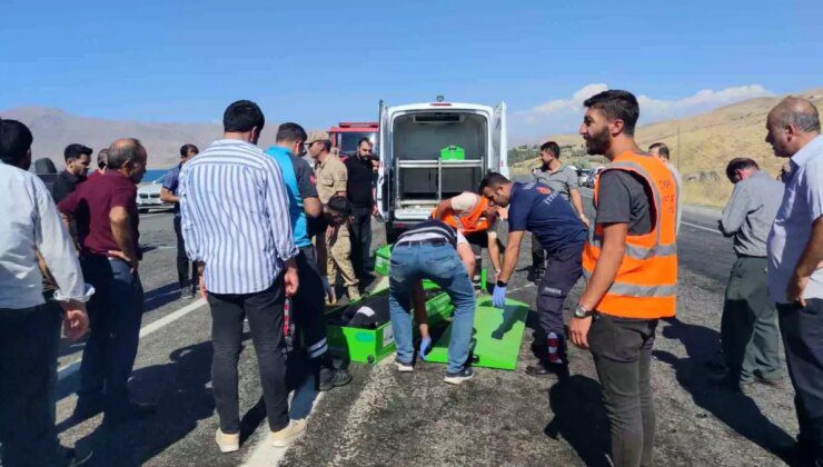 Van-Erciş Karayolunda Trafik Kazası: 2 Kişi Hayatını Kaybetti