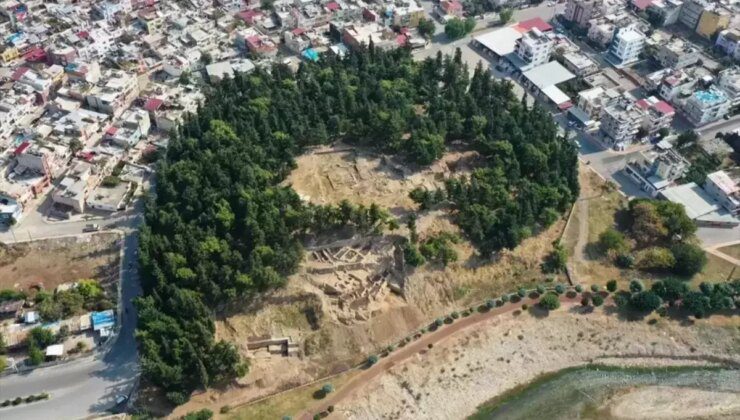 Yumuktepe Höyüğü’nde 9 bin yıllık iki buğday türü ortaya çıktı