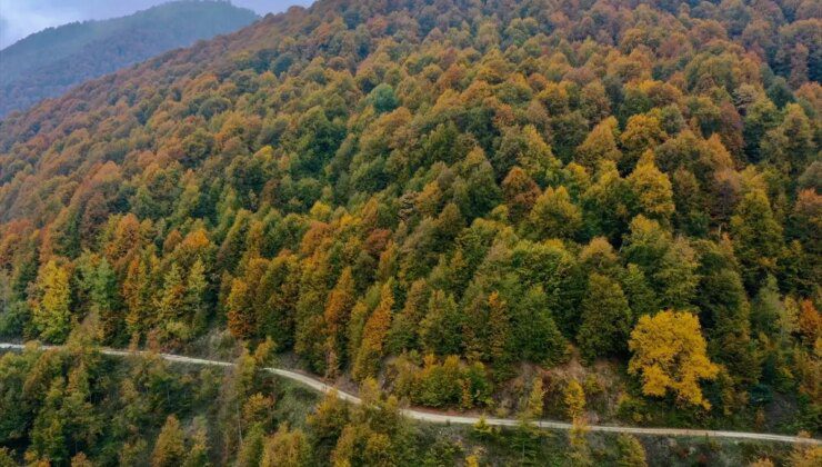 Bolu Dağı Tüneli’nde Sonbahar Güzellikleri