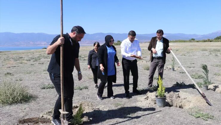 Burdur’da Gazeteciler Ağaç Dikti