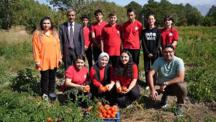 Erzincan’da Öğrenciler Organik Sebze Üretiyor