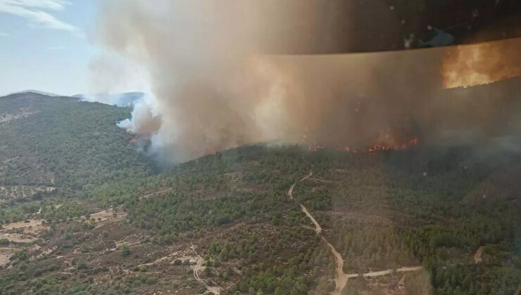 Foça’da Çöplükte Çıkan Yangın Ormana Sıçradı