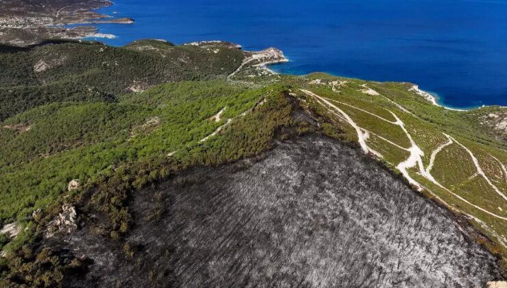 Foça’da Yangın Kontrol Altına Alındı: 340 Hektar Arazi Zarar Gördü