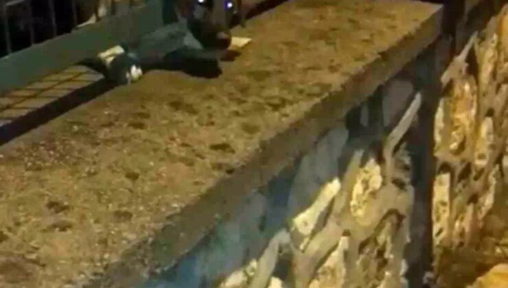 Osmangazi’de Sıkışan Yavru Köpek İtfaiye Ekipleri Tarafından Kurtarıldı