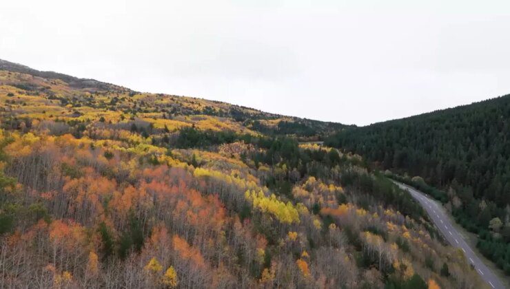 Sonbahar Güzelliği Erzincan Dağlarında