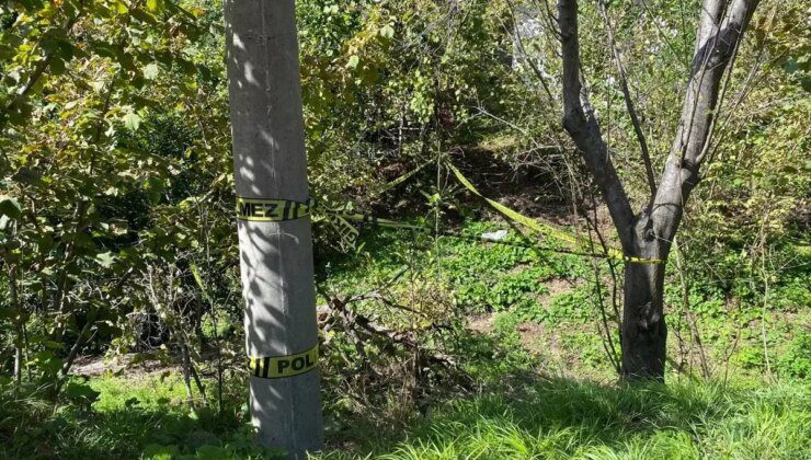 Zonguldak’ta Domuz Sanılarak Vurulan Kadın Hayatını Kaybetti