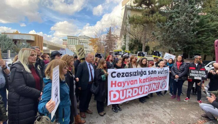 Ankara Barosu Hayvan Hakları Merkezi’nden ‘Katliam Yasası’na Protesto