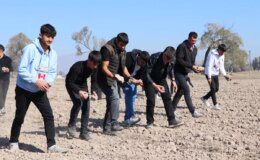 Erzurum’da Tarım Lisesi Öğrencileri İmece Usulü Güz Ekinini Tamamladı