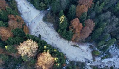 Giresun’un Dereli İlçesinde Güz Renkleri Büyülüyor