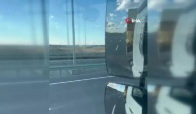 İstanbul Otoyolunda Başıboş Atlardan Trafik Kazası